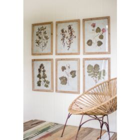 Set Of 6 Leaf Prints Under Glass 16.5" X 21.5"T