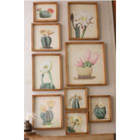 Set Of 9 Cactus Flower Prints Under Glass Largest 14" X 15.75"T  Smallest 8" X 8"T