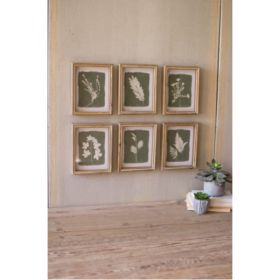 Set Of 6 Fern Prints Under Glass 8"D X 10"T Each