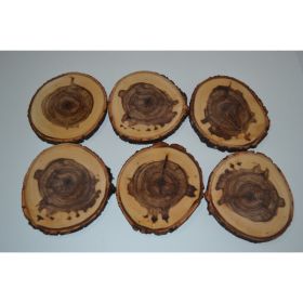 Balm of Gilead Log Coasters Set of Six