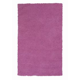 2'x4' Polyester Hot Pink Accent Rug