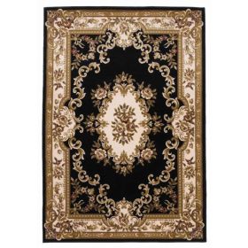 3'x5' Black or Ivory Aubusson Polypropylene Area Rug